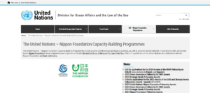 UN Nippon Foundation Fellowship 2026