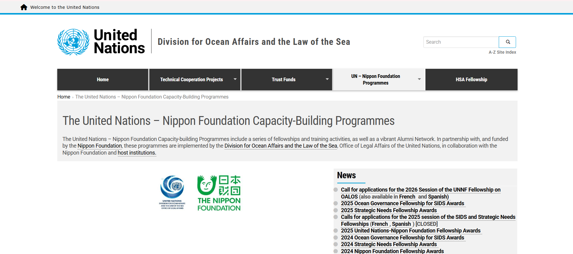 UN Nippon Foundation Fellowship 2026