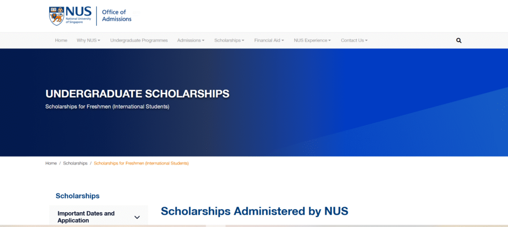 nus scholarships