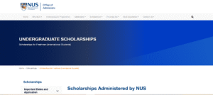 nus scholarships