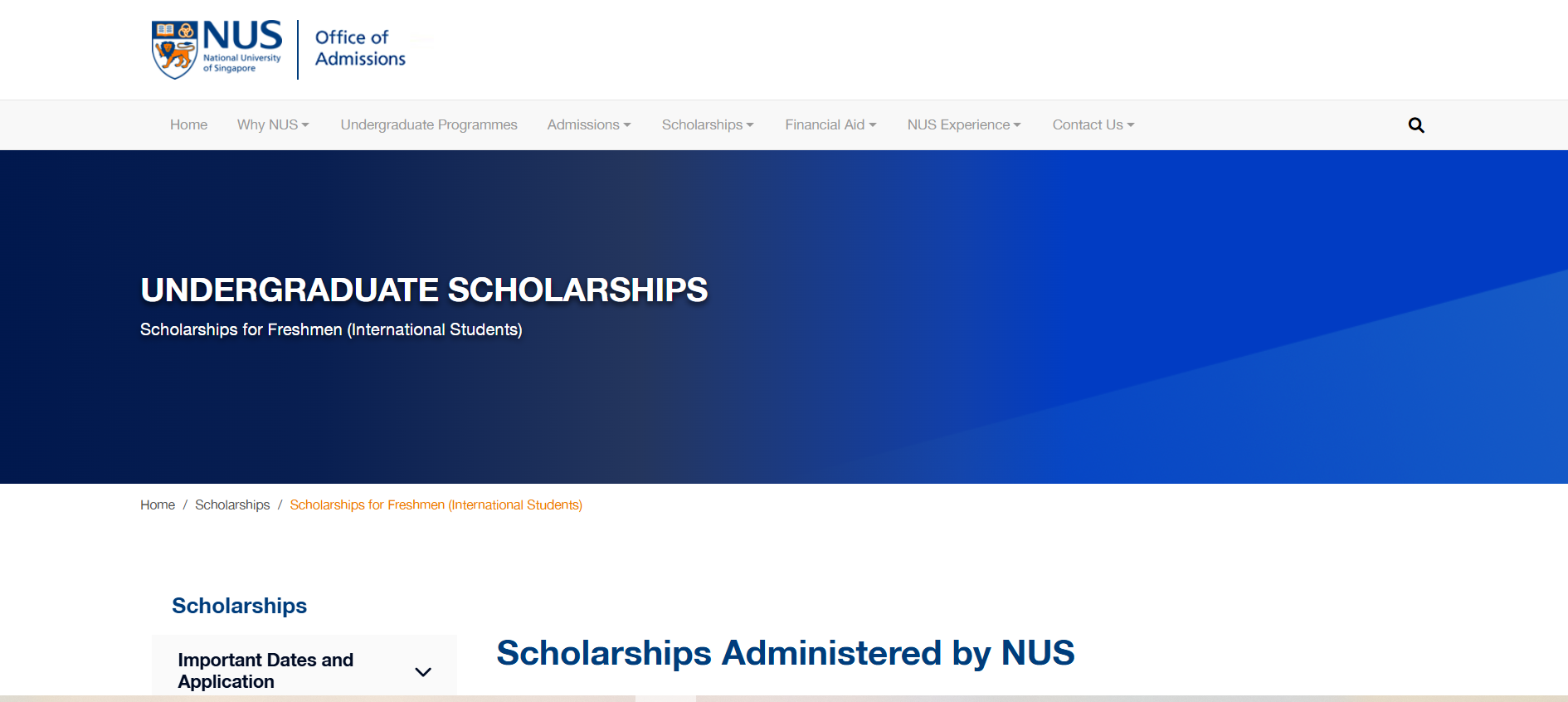 nus scholarships