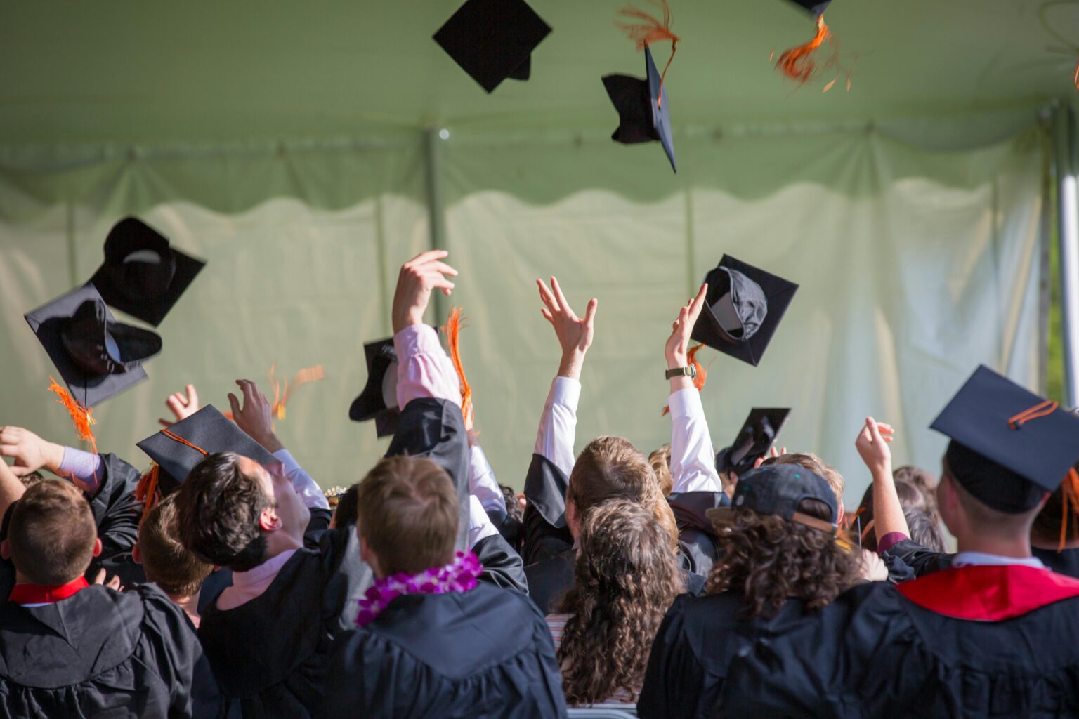 DO CAMBRIDGE GIVE SCHOLARSHIPS visual data 6